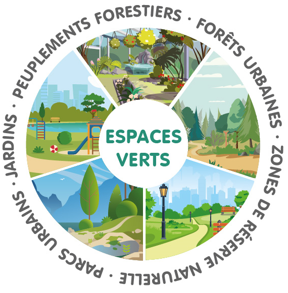 Infografía áreas verdes